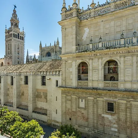Living By Cathedral