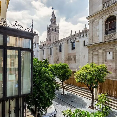 Living By Cathedral